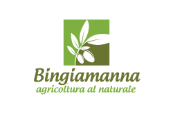 logo Bingiamanna