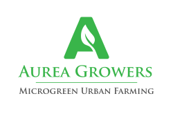logo Aurea Growers