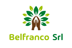 logo Belfranco