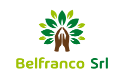 Belfranco