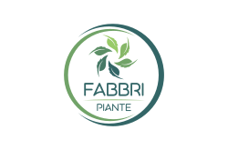 FABBRI