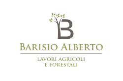 Barisio