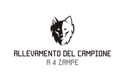 allevamento del campione