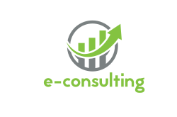 e-consulting