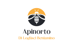 Apinorto