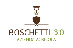 logo BOSCHETTI