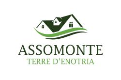 logo ASSOMONTE