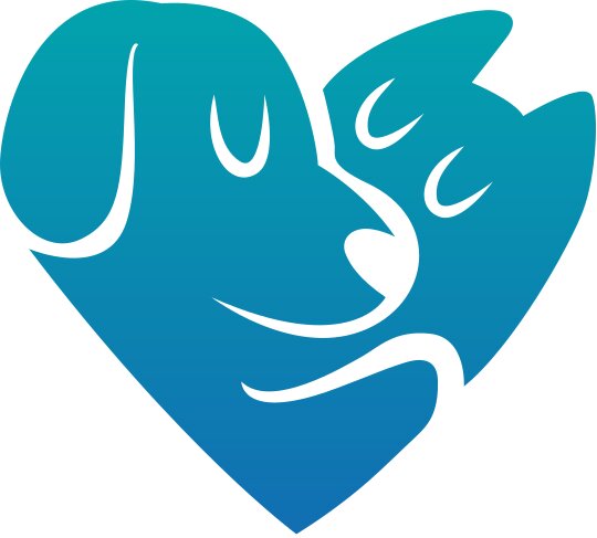 Logo design preview